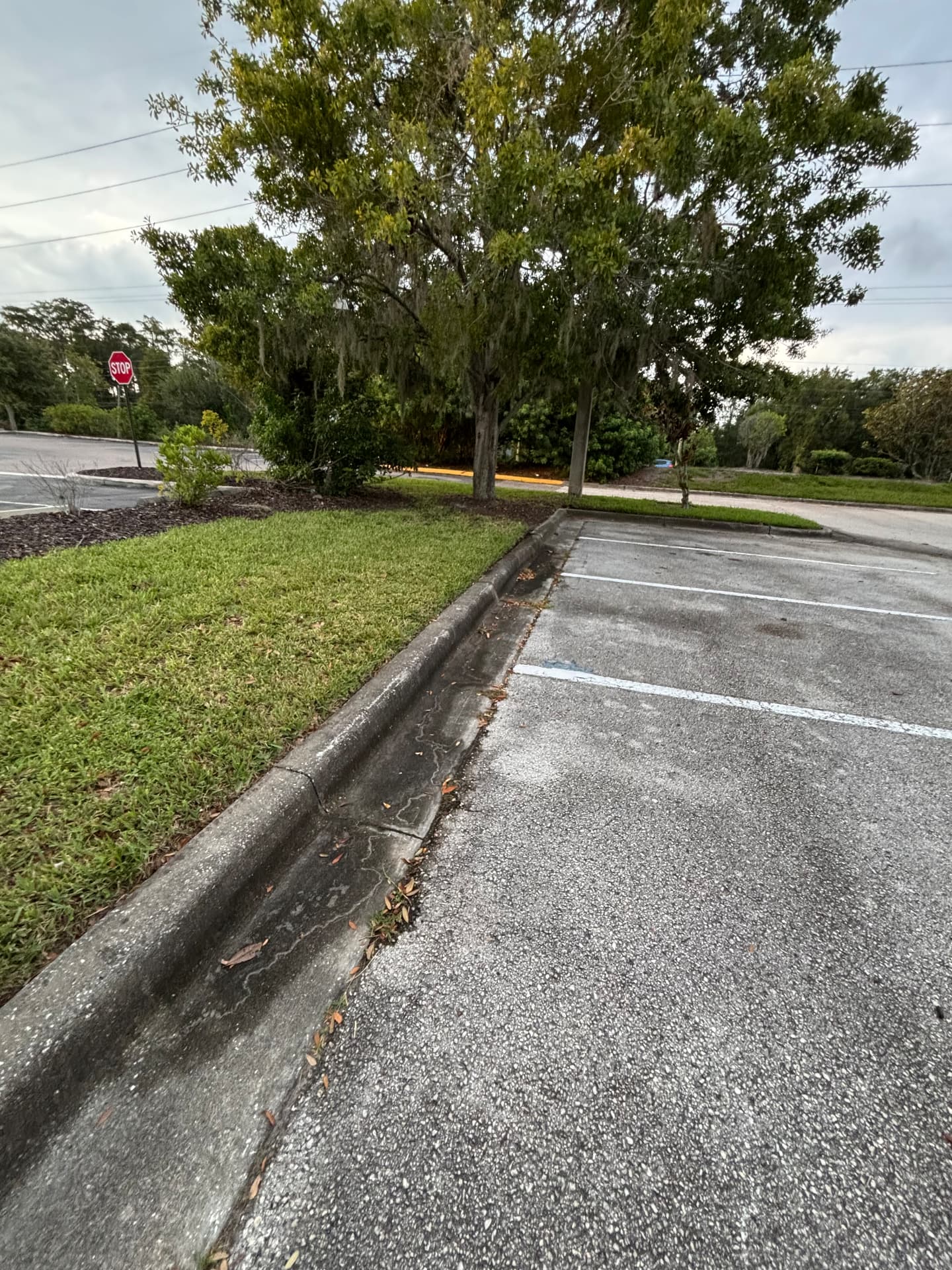 Dirty stained concrete curb before cleaning
