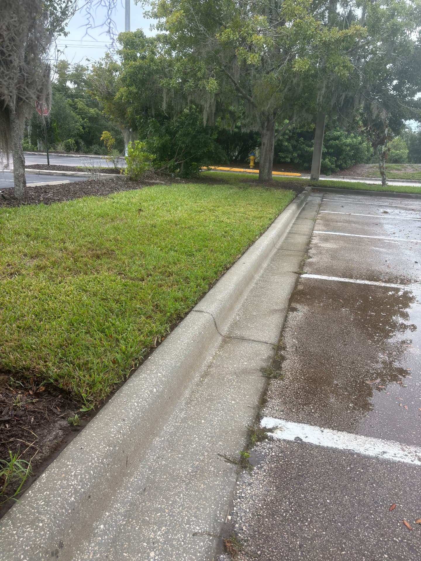 Clean bright concrete curb after using the 1Swipe Curb Pro